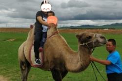 赤峰林西奶牛場招聘電話號碼