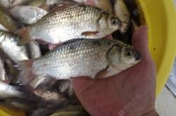 赤峰市野河釣魚地點(diǎn)電話號(hào)碼