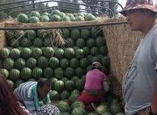 赤峰八斤飯店地址電話查詢號碼