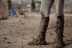 赤峰純泥磚廠地址電話查詢號碼