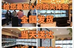 赤峰比熊血統(tǒng)犬舍地址電話(huà)號(hào)碼