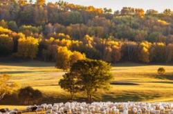 內(nèi)蒙古赤峰市張常宏視頻