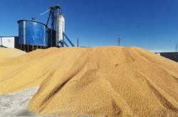 赤峰包谷種子批發(fā)商電話號(hào)碼