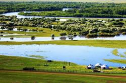 赤峰蒙冠大豆油代理電話號碼