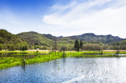 赤峰石柱新聞網(wǎng)官網(wǎng)電話號(hào)碼