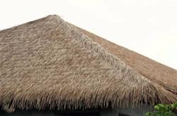 赤峰仿真茅草廠家電話號碼查詢