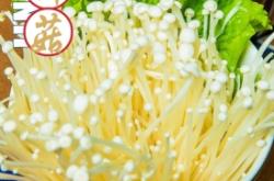 赤峰筷子包裝廠電話號(hào)碼查詢