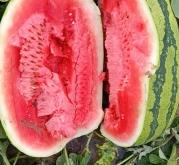 赤峰優(yōu)旅優(yōu)品電話多少號(hào)