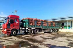 赤峰林西養(yǎng)殖合作社電話號(hào)碼