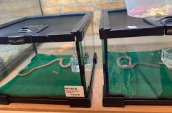 赤峰市爬蟲館電話號碼查詢