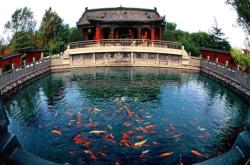 赤峰錦途旅行社地址電話號碼