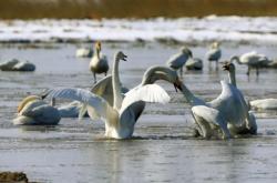 赤峰廣萊新城店電話多少號(hào)