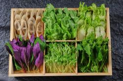 赤峰美食火鍋店電話多少號