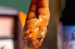 赤峰鹵制加工廠電話(huà)號(hào)碼查詢(xún)