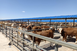 赤峰眾信國(guó)旅酒店電話地址查詢