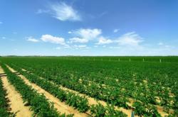 赤峰種植養(yǎng)殖專家電話號碼查詢