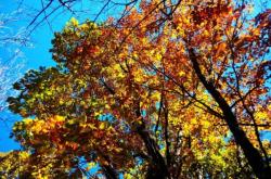 青龍縣去赤峰拼車(chē)電話(huà)號(hào)碼