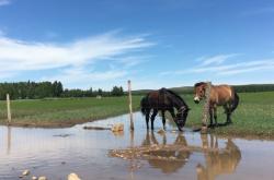 赤峰摩友地帶電話號碼多少