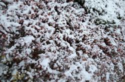 赤峰市雪萊制衣廠電話號碼