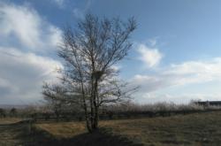 赤峰寧城縣民用機場電話號碼