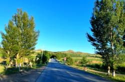 赤峰到沈陽冷鏈運(yùn)輸電話號(hào)碼