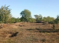 赤峰寧城搬家電話多少號碼