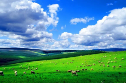 赤峰萬悅影訊電話多少啊