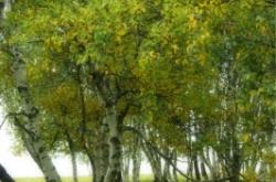 赤峰慕欣理發(fā)店地址電話號碼