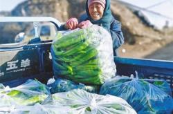 赤峰匯盛牧業(yè)招聘電話是多少號(hào)