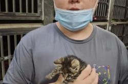 赤峰寵物病狗救助站電話號(hào)碼