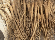 赤峰豬板油批發(fā)電話(huà)號(hào)碼查詢(xún)