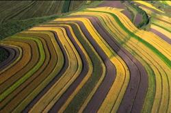 赤峰大地種業(yè)負(fù)責(zé)人電話號(hào)碼