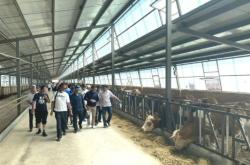 赤峰恒都食品電話多少啊