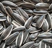 赤峰大窯嘉賓經(jīng)銷處電話號(hào)碼