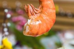 精河日料赤峰店電話多少號