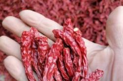 赤峰高香批發(fā)電話號碼多少