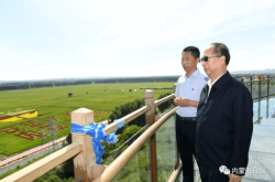 赤峰大地香菜種植基地電話號(hào)碼