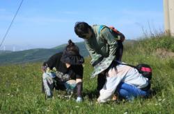 赤峰新遠(yuǎn)木器廠地址電話號碼