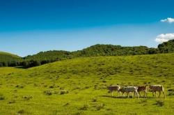 赤峰到元寶山網(wǎng)約車(chē)電話(huà)