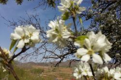 赤峰喀喇沁收費站電話號碼