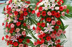 赤峰花束蛋糕店電話號(hào)碼多少