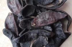 赤峰黑螞蟻合唱團招聘電話號碼