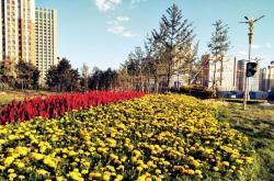 赤峰園林工程有限公司電話號碼