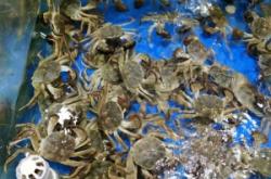 阿峰海鮮赤峰店電話號(hào)碼多少