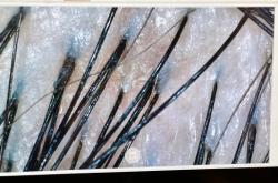 赤峰沐潤(rùn)自助餐地址電話號(hào)碼