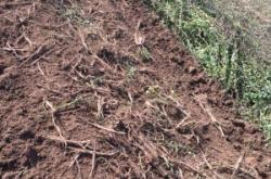 赤峰百草藥材回收店電話