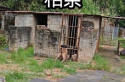 赤峰狗場招人電話地址是多少號