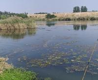 赤峰小涵垂釣園電話多少號