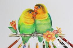 赤峰欒樹畫室電話號(hào)碼多少號(hào)