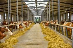 赤峰西漠飼料廠地址電話號碼